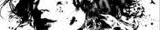 Blackbirds: Chuck Wendig